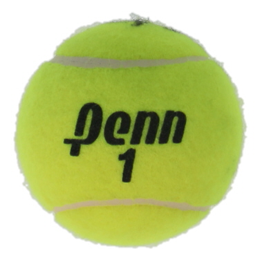 Novak Djokovic Signed Tennis Ball (PSA) at PristineAuction.com Novak Djokovic Signed Tennis Ball (PSA) at PristineAuction.com