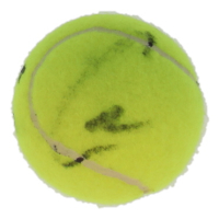 Carlos Alcaraz Signed Tennis Ball (PSA) at PristineAuction.com