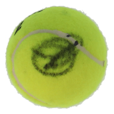 Novak Djokovic Signed Tennis Ball (PSA) at PristineAuction.com Novak Djokovic Signed Tennis Ball (PSA) at PristineAuction.com