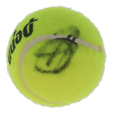 Novak Djokovic Signed Tennis Ball (PSA) at PristineAuction.com Novak Djokovic Signed Tennis Ball (PSA) at PristineAuction.com