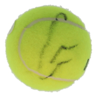 Carlos Alcaraz Signed Tennis Ball (PSA) at PristineAuction.com