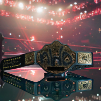 "Hollywood" Hulk Hogan Signed WWE Full-Size "NWO" World Heavyweight Championship Belt (Fanatics) at PristineAuction.com