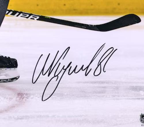 Nikita Kucherov Signed Lightning 16x20 Photo (Fanatics) at PristineAuction.com Nikita Kucherov Signed Lightning 16x20 Photo (Fanatics) at PristineAuction.com