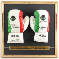 Julio Cesar Chavez, Marco Antonio Barrera & Erik Morales Signed Custom Framed Set of (2) Mexico Professional Boxing Gloves (JSA) at PristineAuction.com
