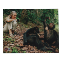 Jane Goodall Signed 8x10 Photo (Beckett) at PristineAuction.com