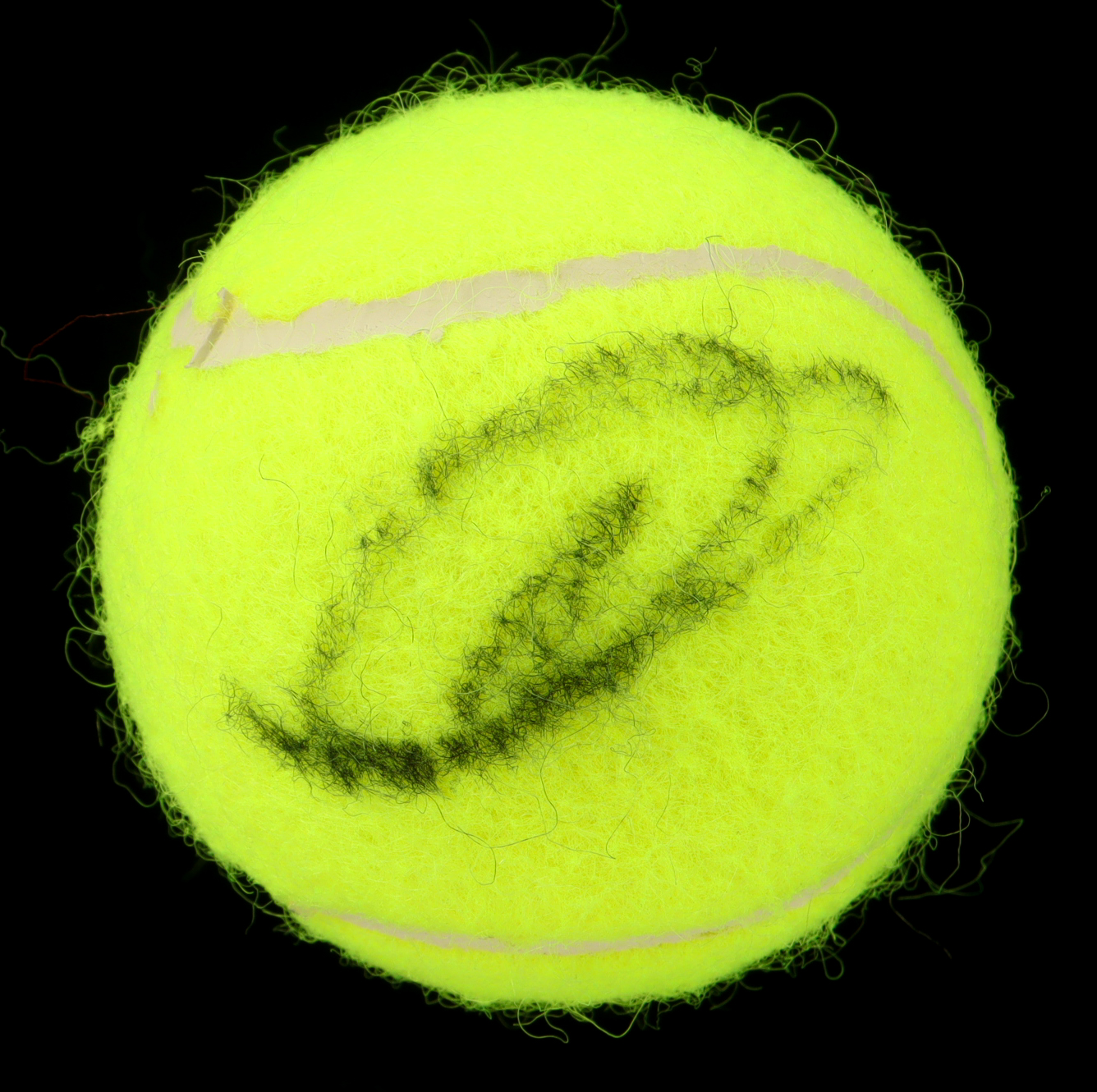 Novak Djokovic Signed Tennis Ball (JSA) at PristineAuction.com Novak Djokovic Signed Tennis Ball (JSA) at PristineAuction.com