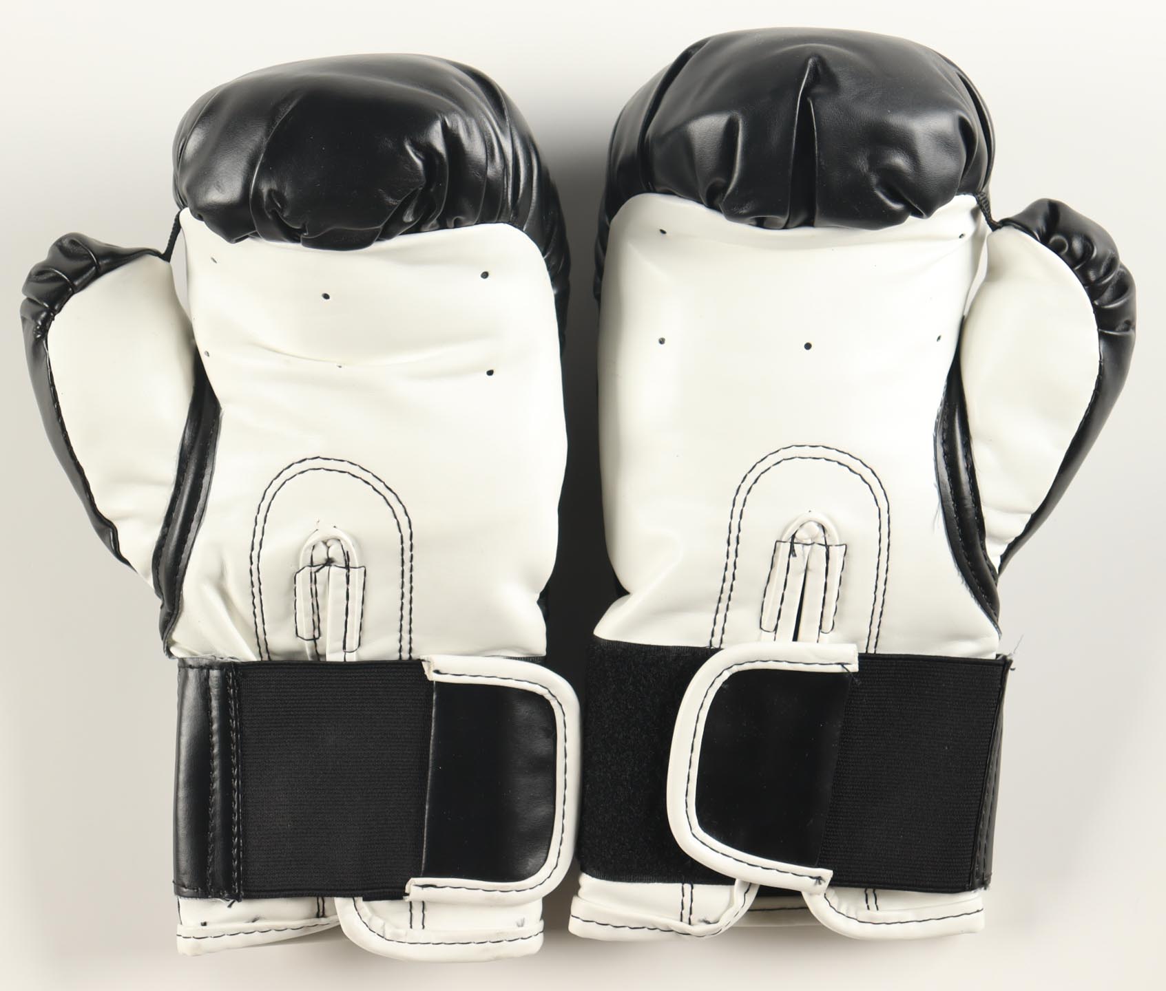 Julio Cesar Chavez, Marco Antonio Barrera & Erik Morales Signed Pair of Everlast Boxing gloves with Display Case (JSA) at PristineAuction.com Julio Cesar Chavez, Marco Antonio Barrera & Erik Morales Signed Pair of Everlast Boxing gloves with Display Case (JSA) at PristineAuction.com