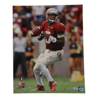 Jameis Winston Signed Florida State Seminoles 16x20 Photo (PSA) at PristineAuction.com