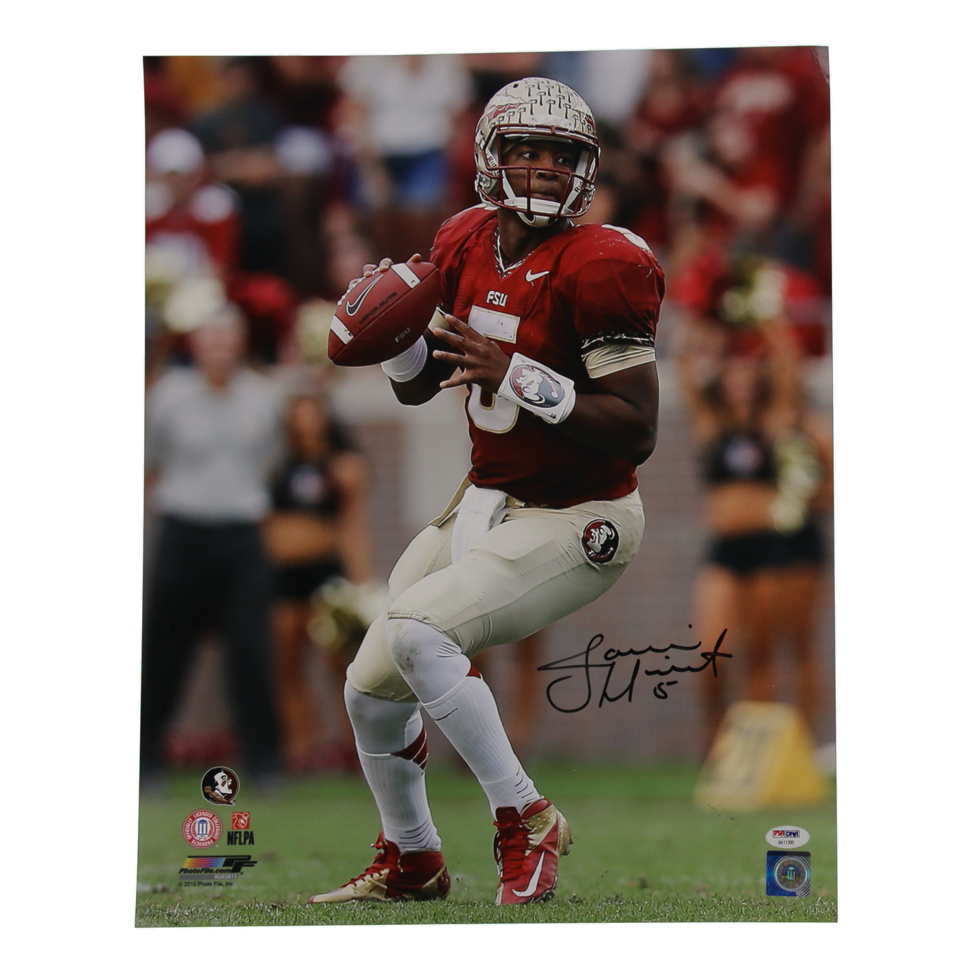 Jameis Winston Signed Florida State Seminoles 16x20 Photo (PSA) at PristineAuction.com Jameis Winston Signed Florida State Seminoles 16x20 Photo (PSA) at PristineAuction.com
