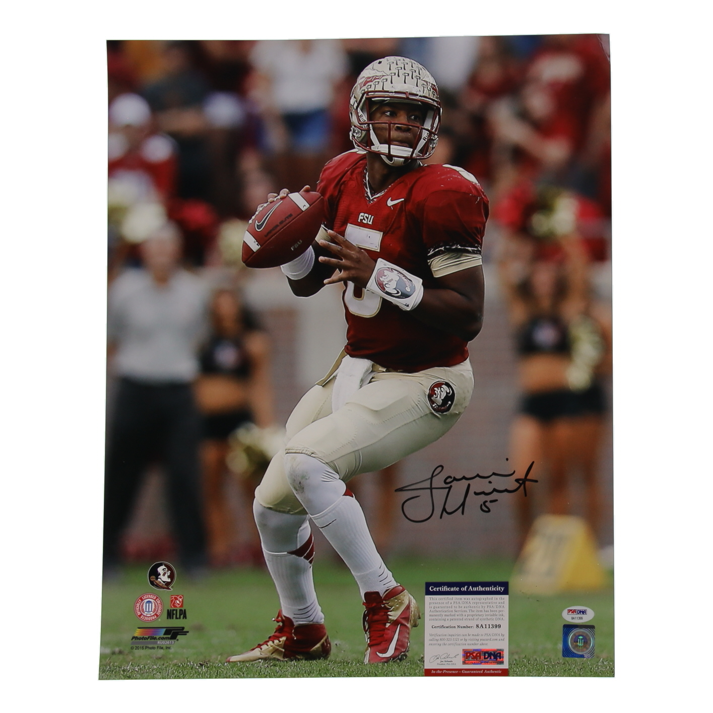 Jameis Winston Signed Florida State Seminoles 16x20 Photo (PSA) at PristineAuction.com Jameis Winston Signed Florida State Seminoles 16x20 Photo (PSA) at PristineAuction.com