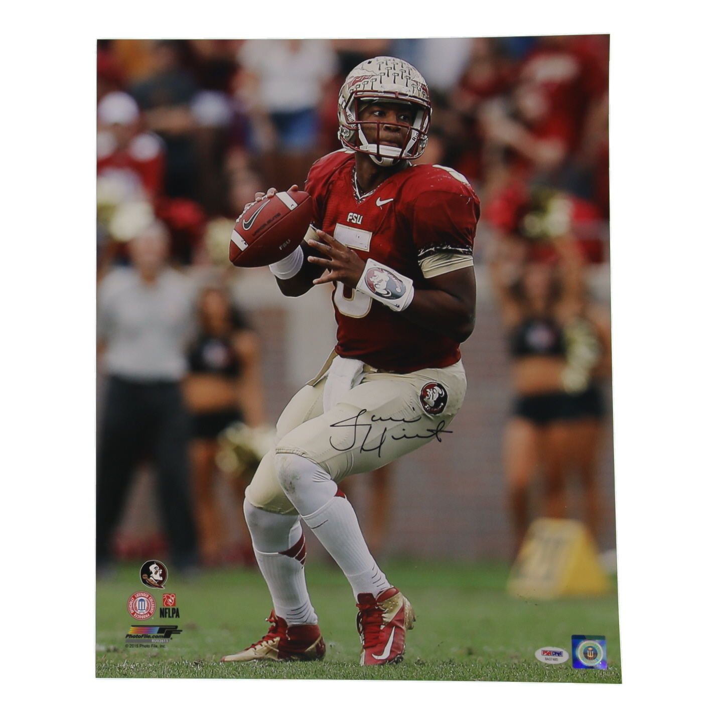 Jameis Winston Signed Florida State Seminoles 16x20 Photo (PSA) at PristineAuction.com Jameis Winston Signed Florida State Seminoles 16x20 Photo (PSA) at PristineAuction.com