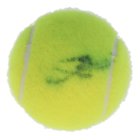Elena Rybakina Signed Tennis Ball (JSA) at PristineAuction.com