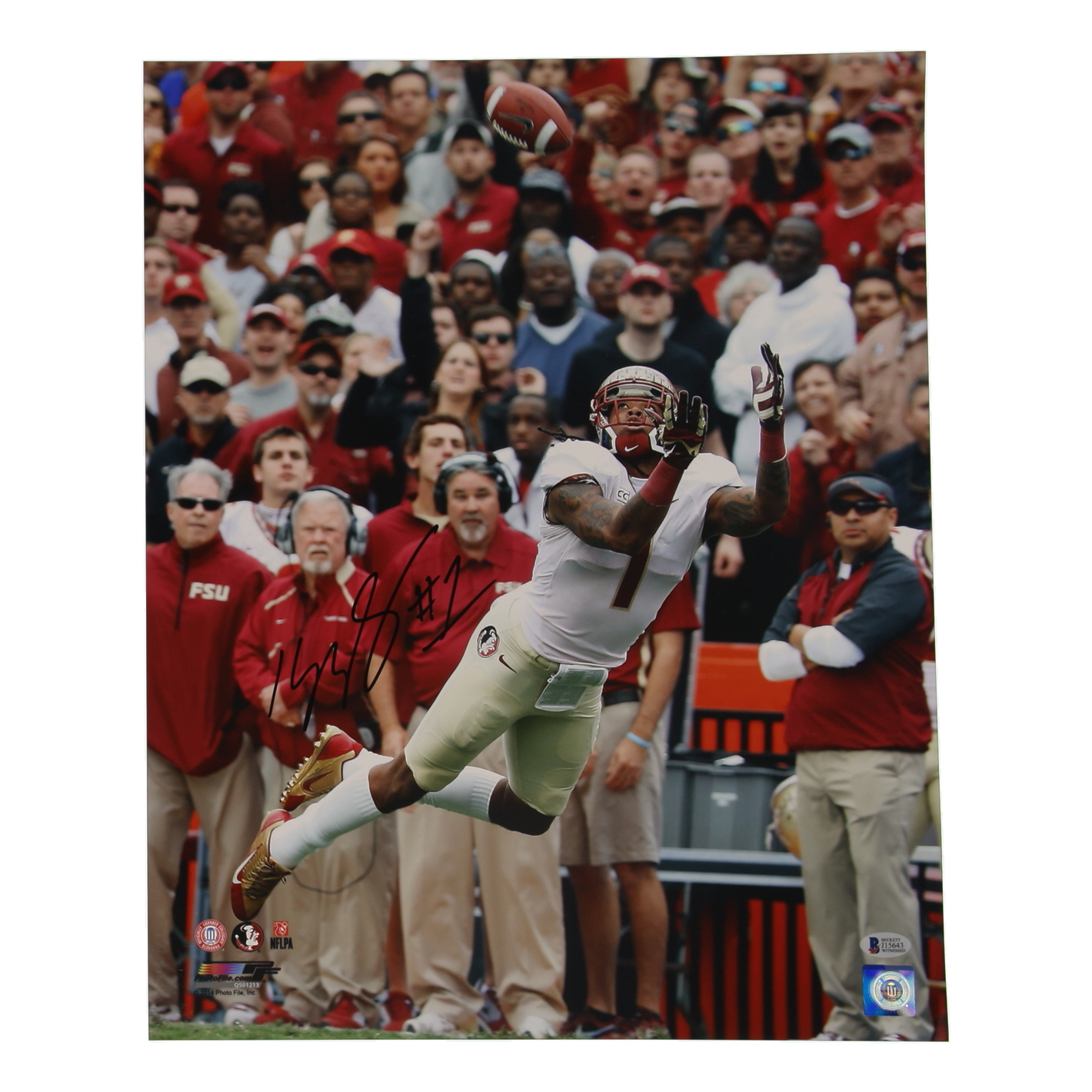 Kelvin Benjamin Signed Florida State Seminoles 16x20 Photo (Beckett) at PristineAuction.com Kelvin Benjamin Signed Florida State Seminoles 16x20 Photo (Beckett) at PristineAuction.com