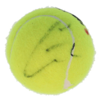 Carlos Alcaraz Signed Tennis Ball (JSA) at PristineAuction.com