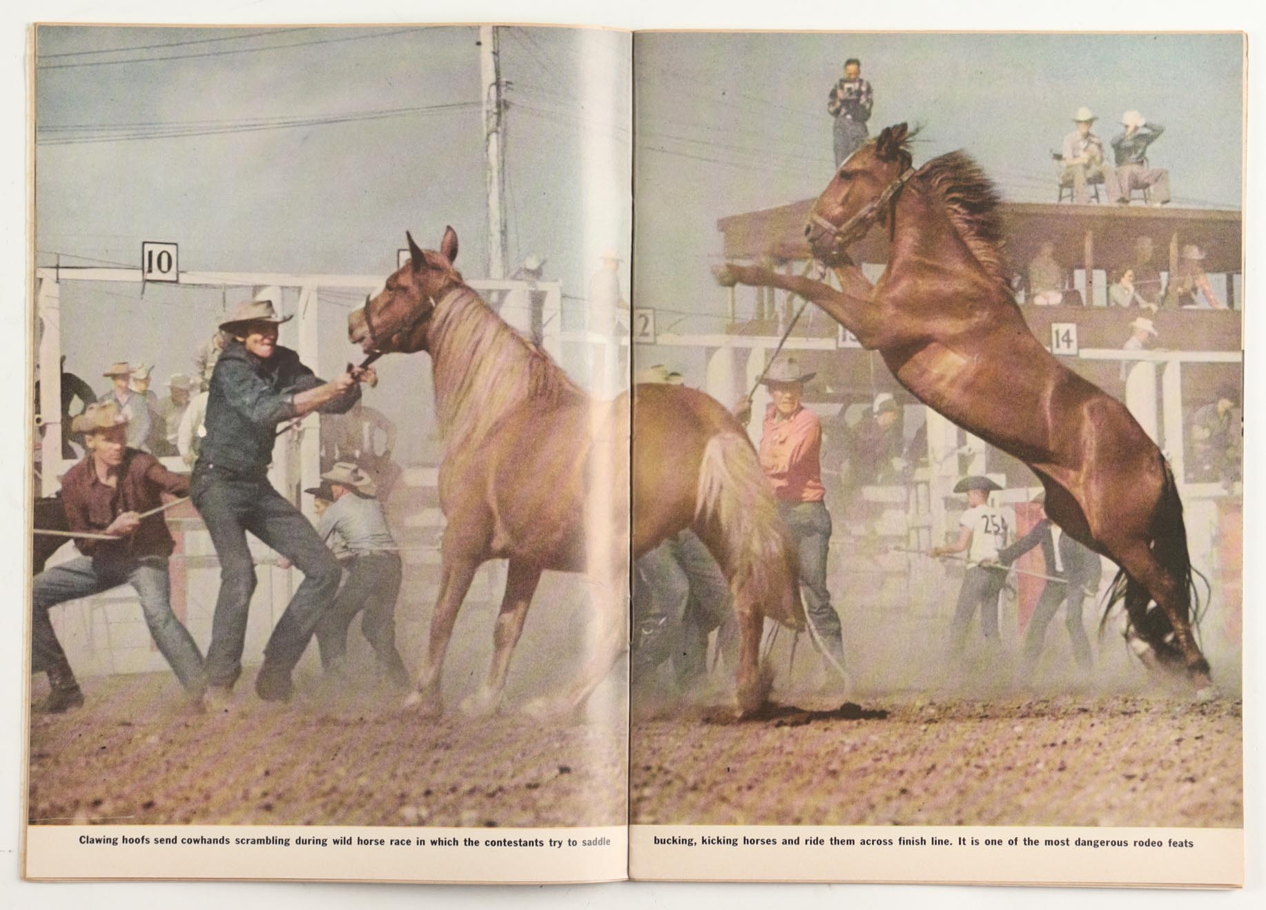 1954 First Issue "Sports Illustrated" Magazine at PristineAuction.com 1954 First Issue "Sports Illustrated" Magazine at PristineAuction.com