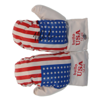 Mike Tyson Signed Pair of (2) Defender USA Boxing Gloves (Tyson) at PristineAuction.com