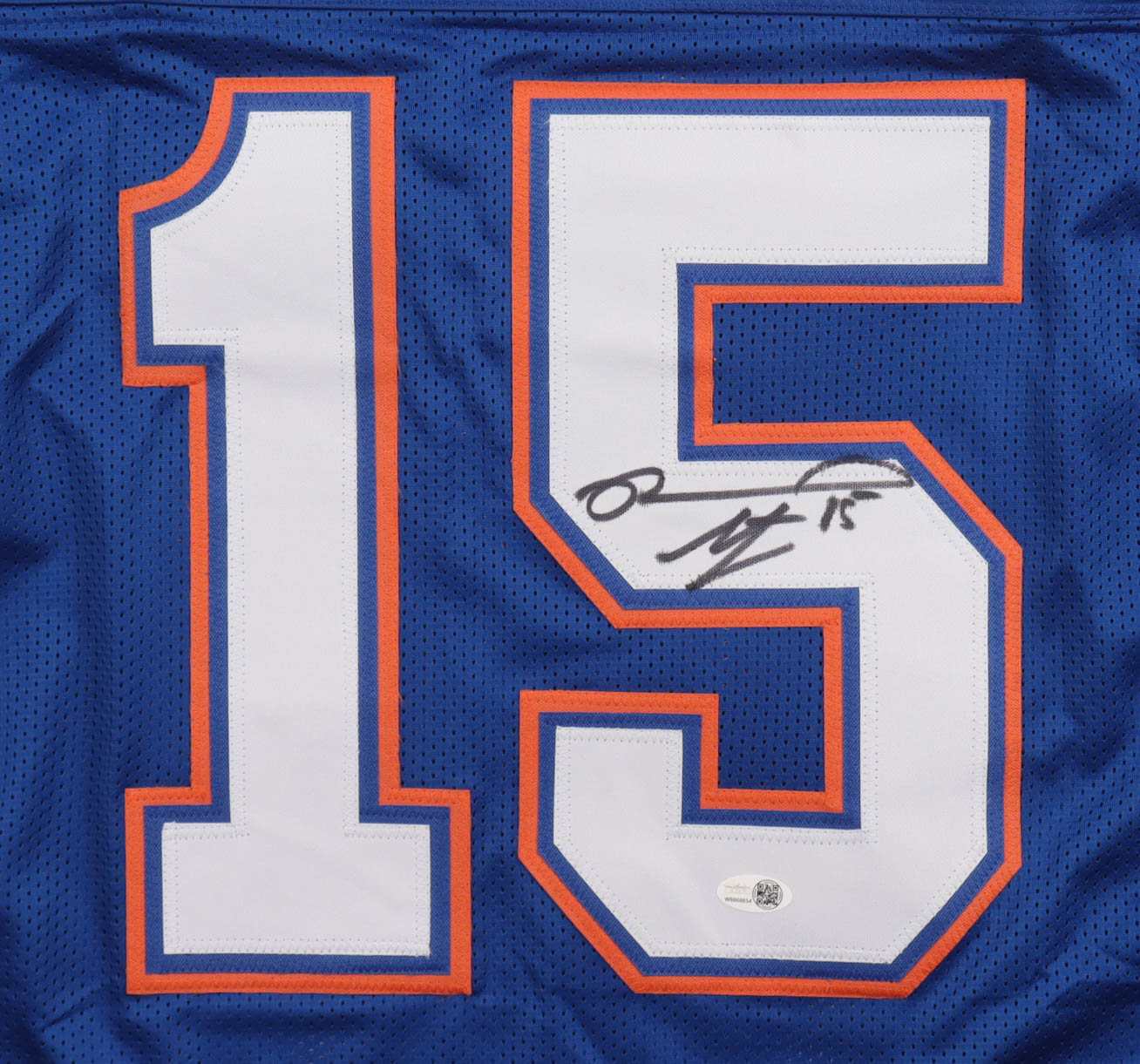 Reidel Anthony Signed Jersey (JSA) at PristineAuction.com Reidel Anthony Signed Jersey (JSA) at PristineAuction.com