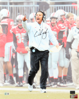 Urban Meyer Signed Ohio State Buckeyes 16x20 Photo (Beckett) at PristineAuction.com