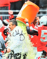 Urban Meyer Signed Ohio State Buckeyes 16x20 Photo (Beckett) at PristineAuction.com