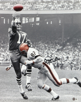 Jim Houston Signed Browns 16x20 Photo (Beckett) at PristineAuction.com