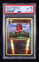 Diglett 2016 Pokemon XY Evolutions Reverse Foil #55 (PSA 8) at PristineAuction.com