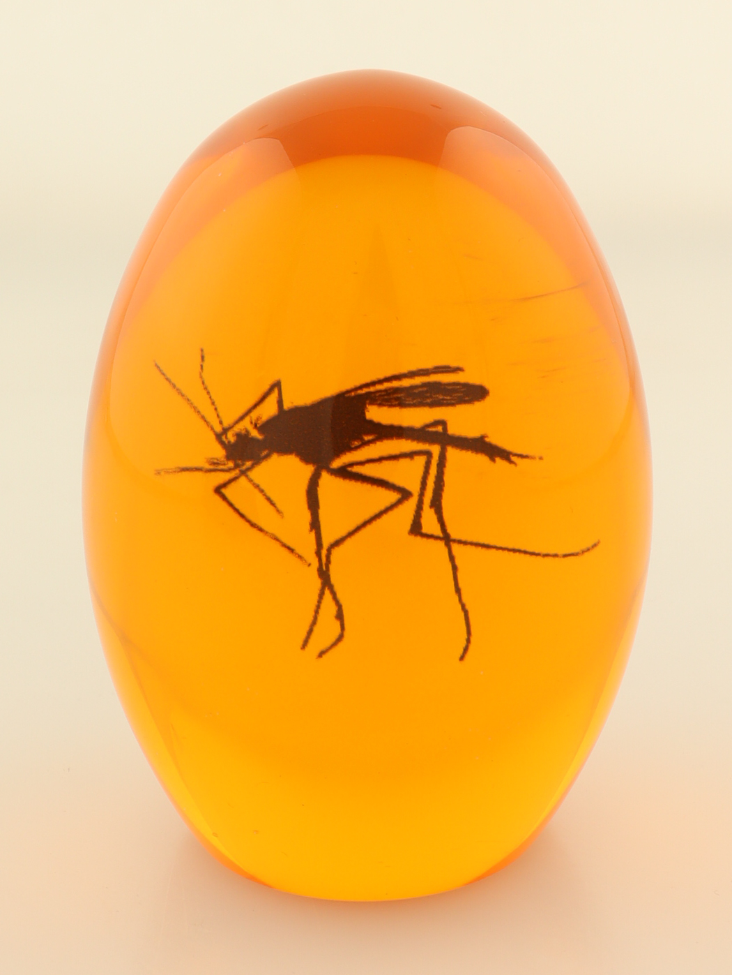 Jurassic Park Replica Mosquito In Amber With Wood Display Case at PristineAuction.com Jurassic Park Replica Mosquito In Amber With Wood Display Case at PristineAuction.com