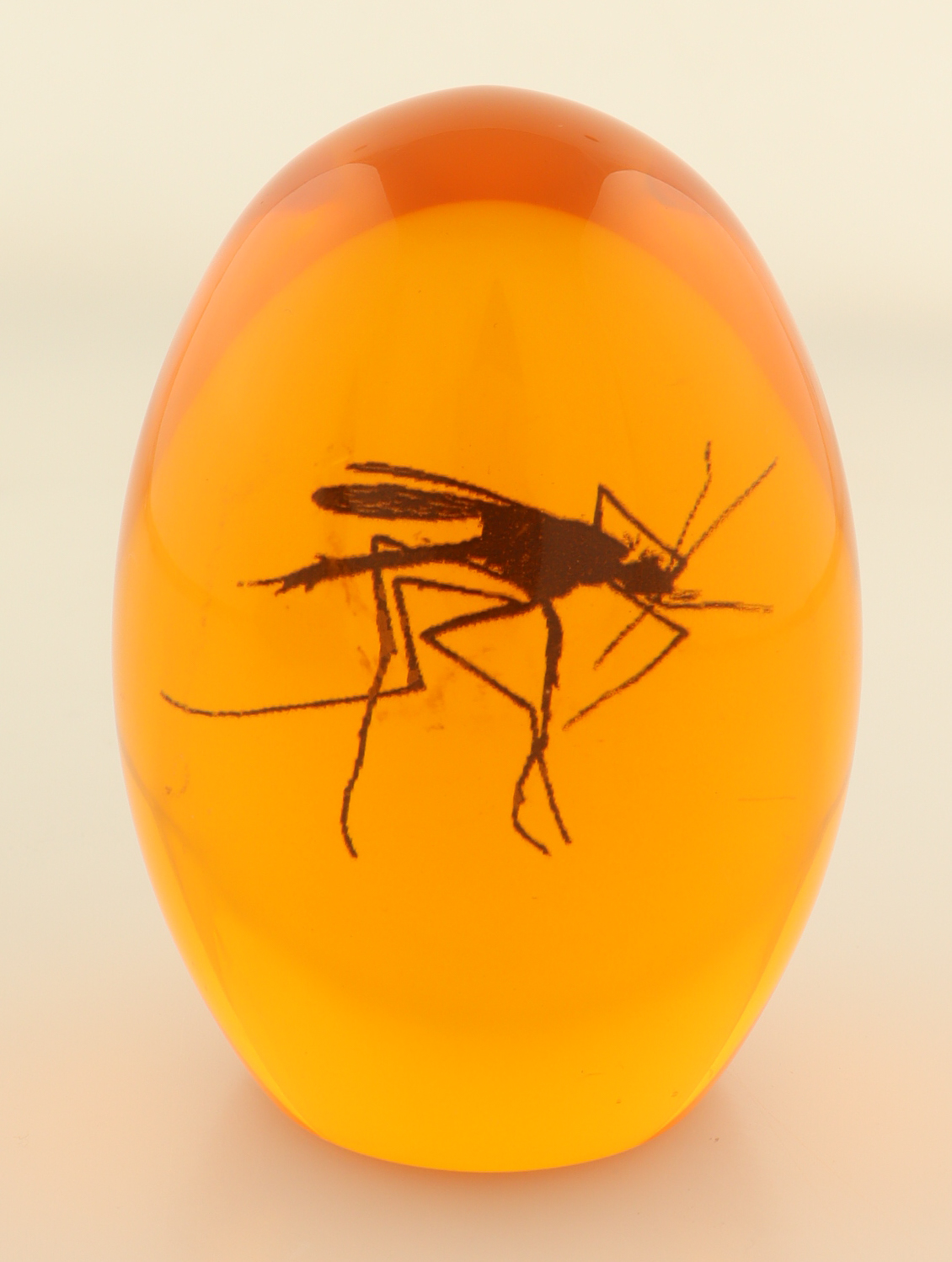 Jurassic Park Replica Mosquito In Amber With Wood Display Case at PristineAuction.com Jurassic Park Replica Mosquito In Amber With Wood Display Case at PristineAuction.com