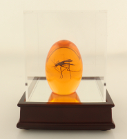 Jurassic Park Replica Mosquito In Amber With Wood Display Case at PristineAuction.com