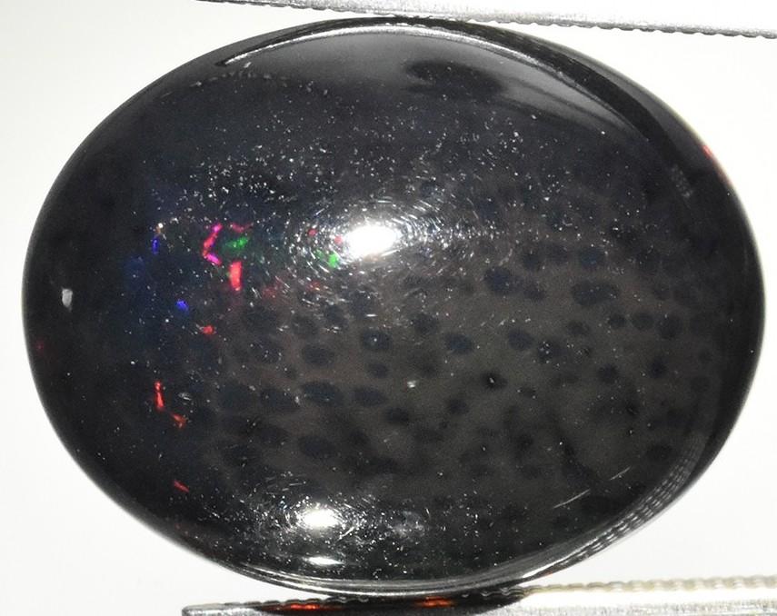 11.91 Carats Loose Natural Black Opal | Estimated Retail Value: $2,200 (UGL Cert) at PristineAuction.com 11.91 Carats Loose Natural Black Opal | Estimated Retail Value: $2,200 (UGL Cert) at PristineAuction.com
