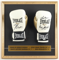 Julio Cesar Chavez,  Marco Antonio Barrera & Erik Morales Signed "Kings Of Mexico Boxing" Custom Framed Boxing Glove Pair Display (JSA) at PristineAuction.com