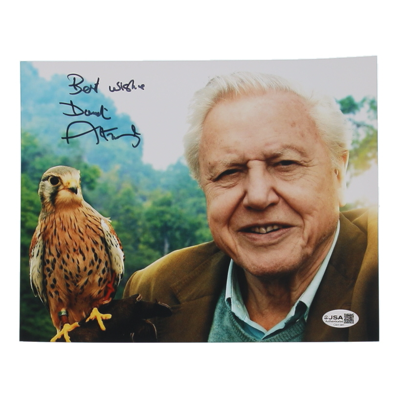 Sir David Attenborough Signed 8x10 Photo Inscribed "Best Wishes" (JSA) at PristineAuction.com Sir David Attenborough Signed 8x10 Photo Inscribed "Best Wishes" (JSA) at PristineAuction.com