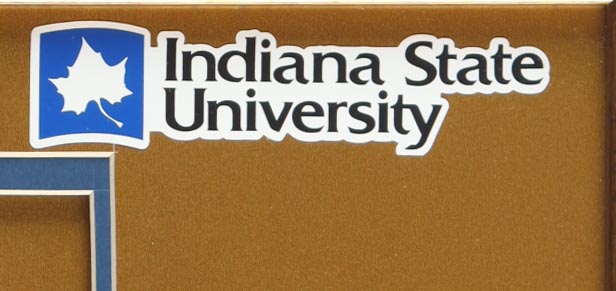 Larry Bird Signed Custom Framed Jersey Display with Sycamores Pin (PSA) at PristineAuction.com Larry Bird Signed Custom Framed Jersey Display with Sycamores Pin (PSA) at PristineAuction.com