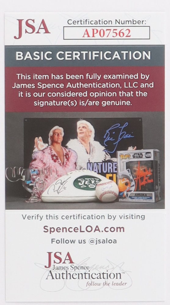 Mike Eruzione Signed Team USA Cut Custom Lithograph Display with Photo (JSA) at PristineAuction.com Mike Eruzione Signed Team USA Cut Custom Lithograph Display with Photo (JSA) at PristineAuction.com