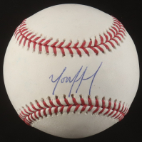 Yordan Alvarez Signed OML Baseball (Beckett) at PristineAuction.com