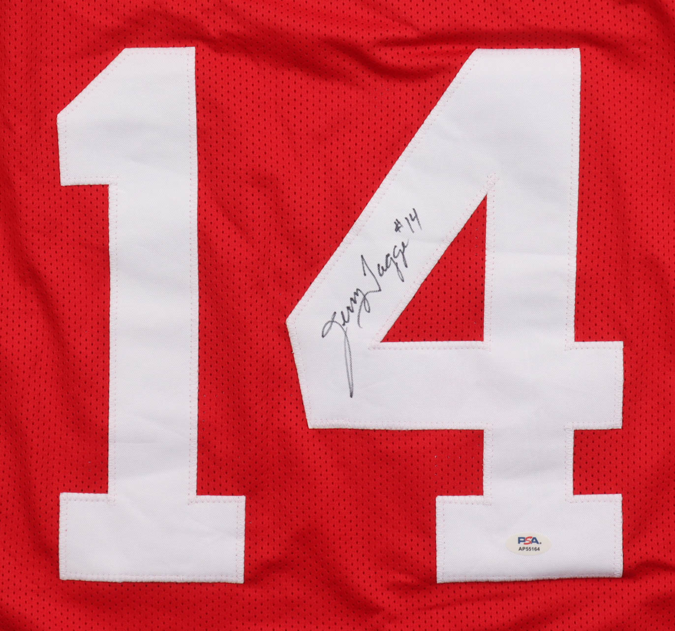 Jerry Tagge Signed Jersey (PSA) at PristineAuction.com Jerry Tagge Signed Jersey (PSA) at PristineAuction.com