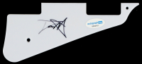 Tom Hamilton Signed 7.5" Guitar Pickguard (ACOA) at PristineAuction.com