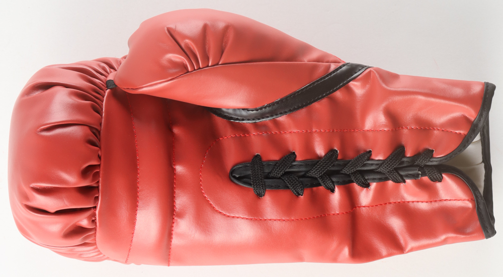 Mike Tyson Signed Everlast Boxing Glove With (JSA & Tyson) at PristineAuction.com Mike Tyson Signed Everlast Boxing Glove With (JSA & Tyson) at PristineAuction.com