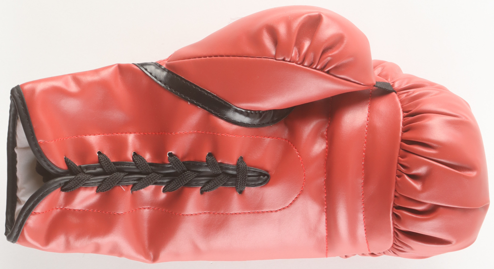 Roy Jones Jr. Signed Everlast Boxing Glove (Beckett) at PristineAuction.com Roy Jones Jr. Signed Everlast Boxing Glove (Beckett) at PristineAuction.com