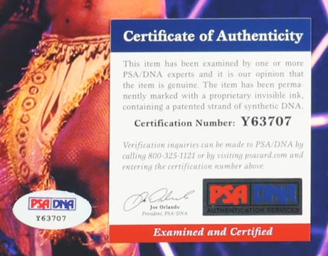 Cher Signed 11x14 Photo (PSA) at PristineAuction.com Cher Signed 11x14 Photo (PSA) at PristineAuction.com