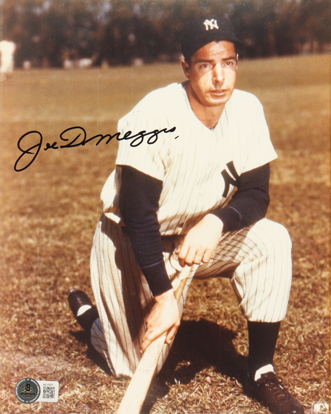 Joe DiMaggio Signed Yankees 8x10 Photo (Beckett) at PristineAuction.com Joe DiMaggio Signed Yankees 8x10 Photo (Beckett) at PristineAuction.com