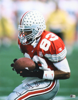 Terry Glenn Signed Ohio State Buckeyes 16x20 Photo (Beckett) at PristineAuction.com