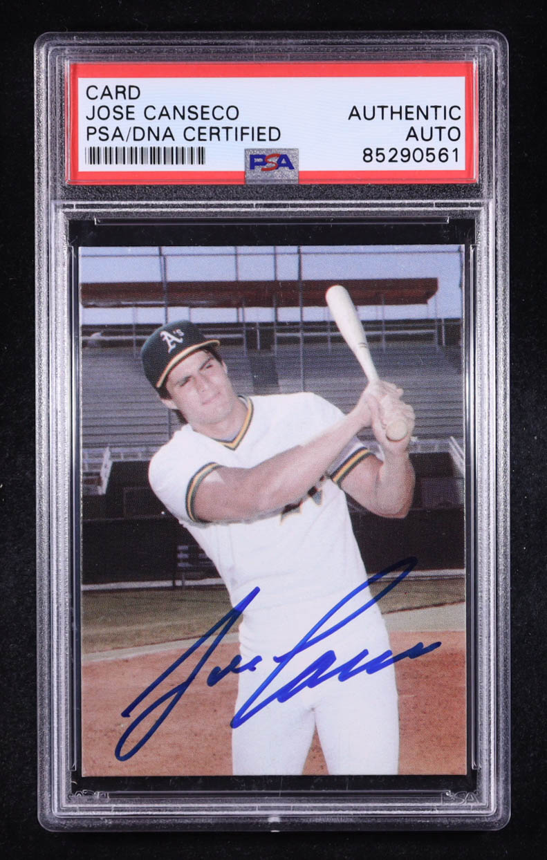 Jose Canseco Signed 1986 Card Collectors Company Canseco #1 RC (PSA) at PristineAuction.com Jose Canseco Signed 1986 Card Collectors Company Canseco #1 RC (PSA) at PristineAuction.com