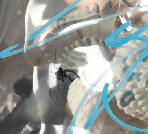 Daniel Radcliffe Signed "Wizarding World: Harry Potter" #123 Harry Potter & Buckbeak Funko Pop! Vinyl Figure (ACOA) at PristineAuction.com Daniel Radcliffe Signed "Wizarding World: Harry Potter" #123 Harry Potter & Buckbeak Funko Pop! Vinyl Figure (ACOA) at PristineAuction.com