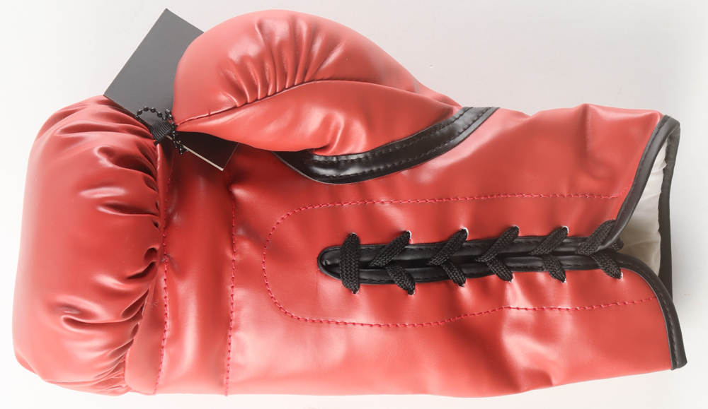 Larry Holmes Signed Everlast Boxing Glove (JSA) at PristineAuction.com Larry Holmes Signed Everlast Boxing Glove (JSA) at PristineAuction.com