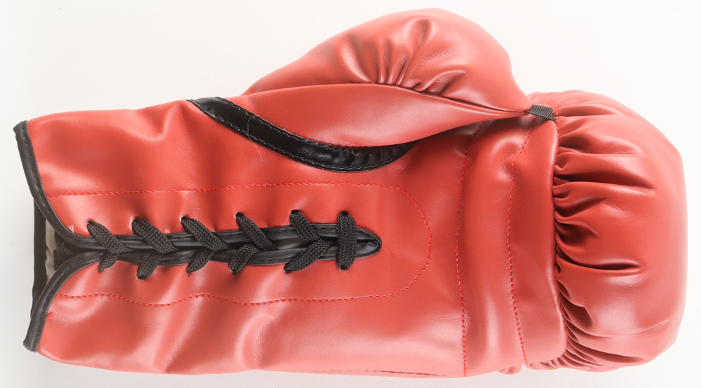 Roy Jones Jr. Signed Everlast Boxing Glove (Beckett) at PristineAuction.com Roy Jones Jr. Signed Everlast Boxing Glove (Beckett) at PristineAuction.com