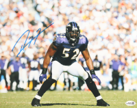 Ray Lewis Signed Ravens 11x14 Photo (JSA) at PristineAuction.com