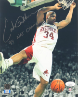 Corliss Williamson Signed Arkansas Razorbacks 8x10 Photo Inscribed "94 Nat Champs" (JSA) at PristineAuction.com