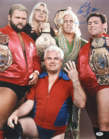 Ric Flair Signed WWF 16x20 Photo (PSA) at PristineAuction.com