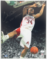 Corliss Williamson Signed Arkansas Razorbacks 11x14 Photo Inscribed "94 Nat Champs" (JSA) at PristineAuction.com