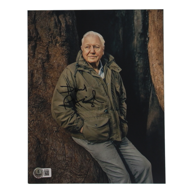 David Attenborough Signed 8x10 Photo (Beckett) at PristineAuction.com David Attenborough Signed 8x10 Photo (Beckett) at PristineAuction.com
